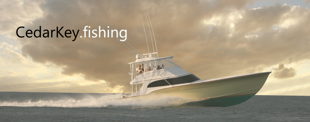 Your Cedar Key fishing charter boat may look like this.